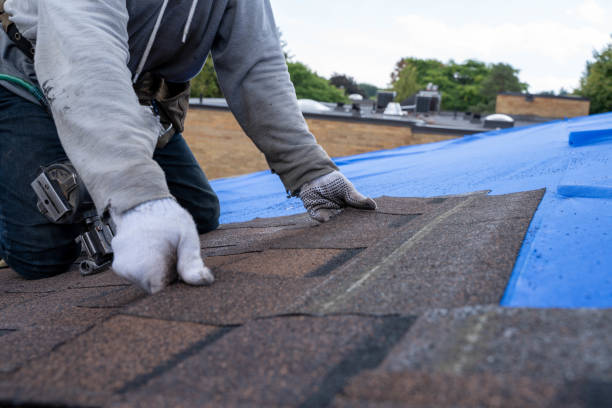 Roof Gutter Cleaning in Levelland, TX